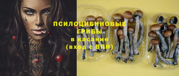 ECSTASY Сафоново