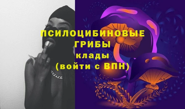 ECSTASY Сафоново