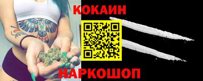 дмт Гай
