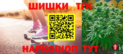 дмт Гай