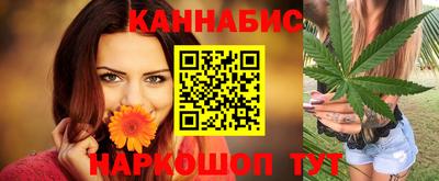 мяу мяу мука Гатчина