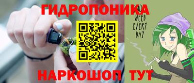 мяу мяу мука Гатчина