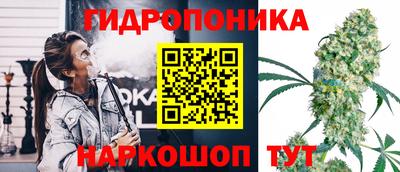 дмт Гай