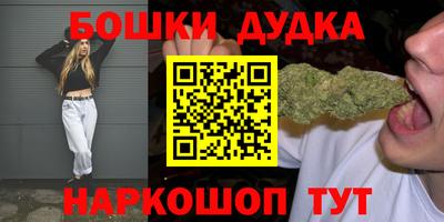дмт Гай