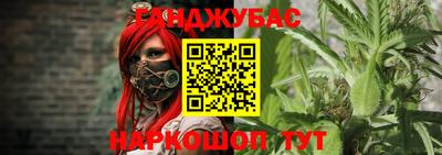 мяу мяу мука Гатчина