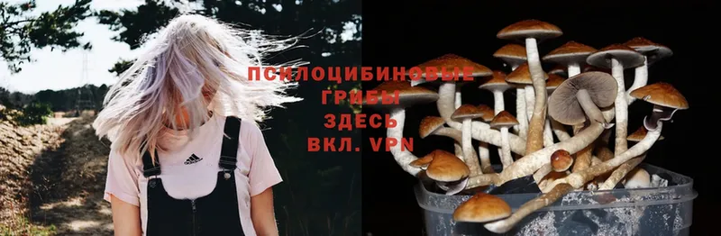 Псилоцибиновые грибы Magic Shrooms  наркота  Дзержинский 