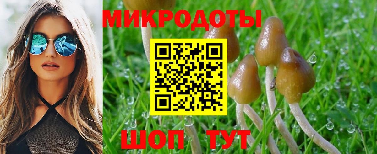 Дзержинский  Галлюциногенные грибы MAGIC MUSHROOMS  Вход с VPN 